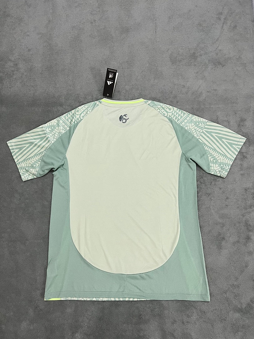 24 Mexico Away