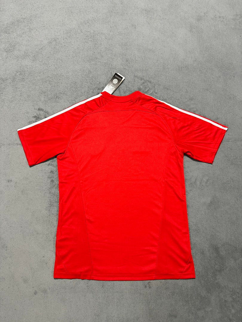 2025-26 Bayern Munich Crew Neck T-Shirt Red