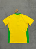 2025-26 Brazil Home