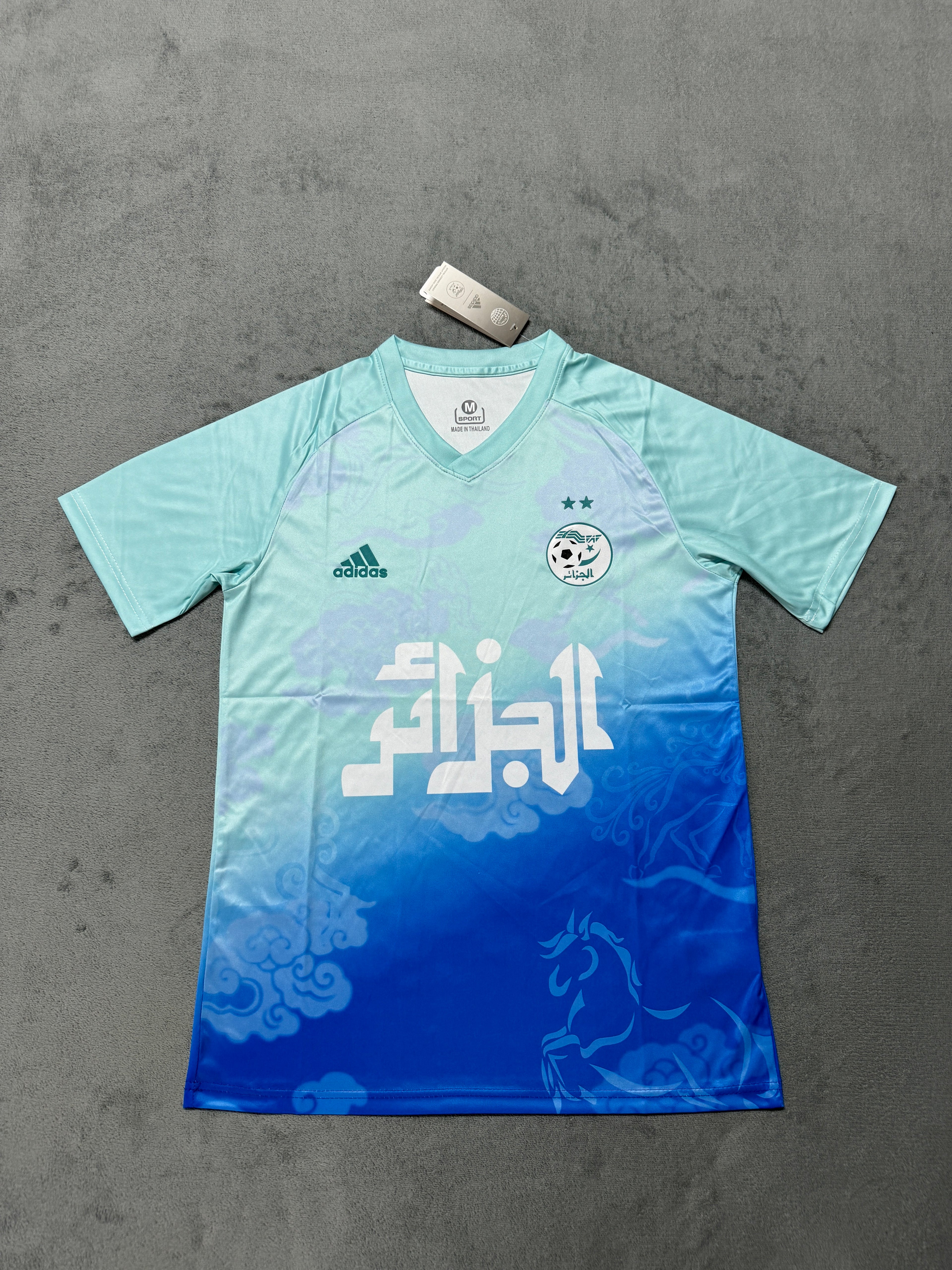 2025-26 Algeria Training Light Blue