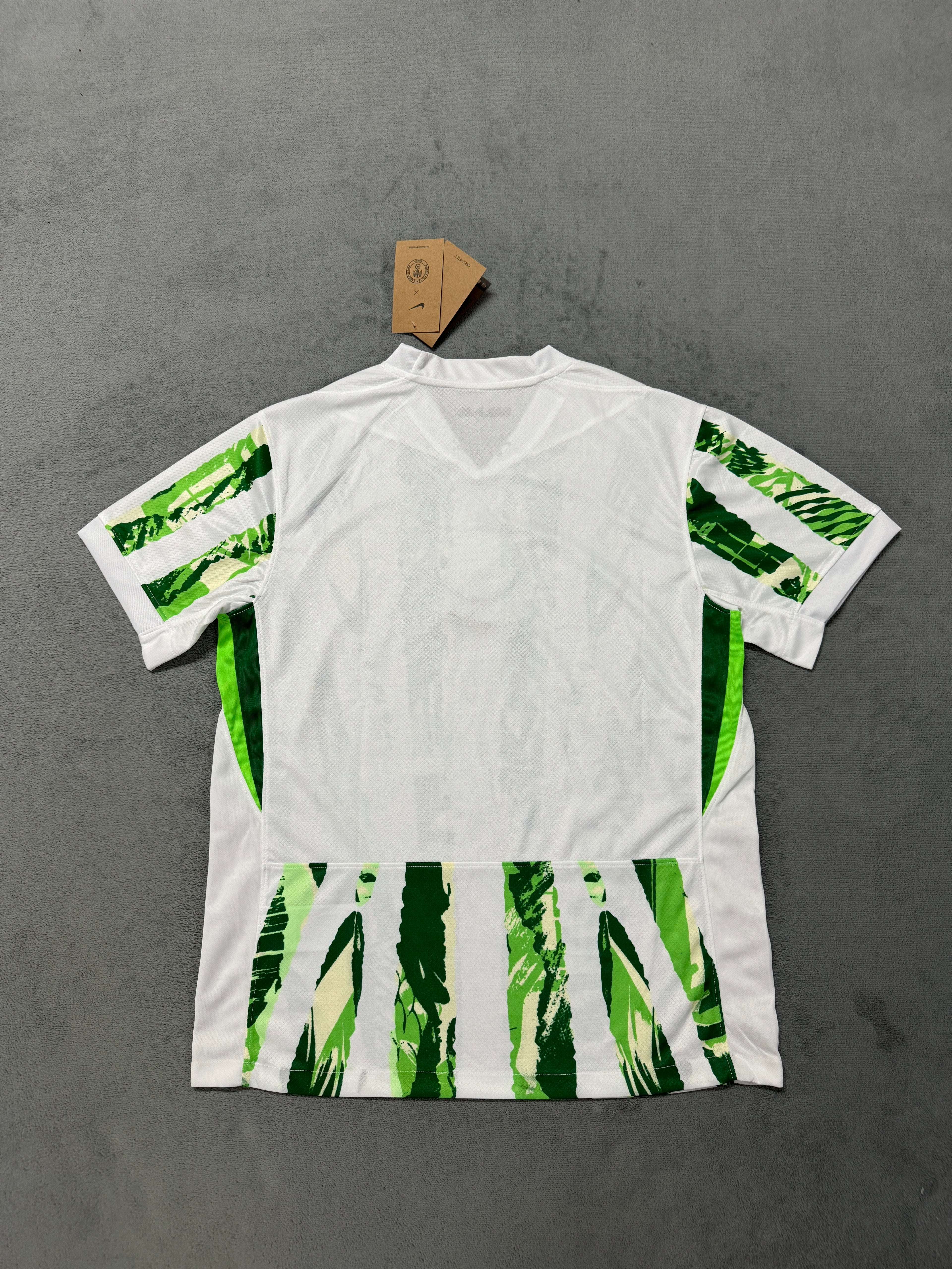 2025-26 Nigeria Home - image 2