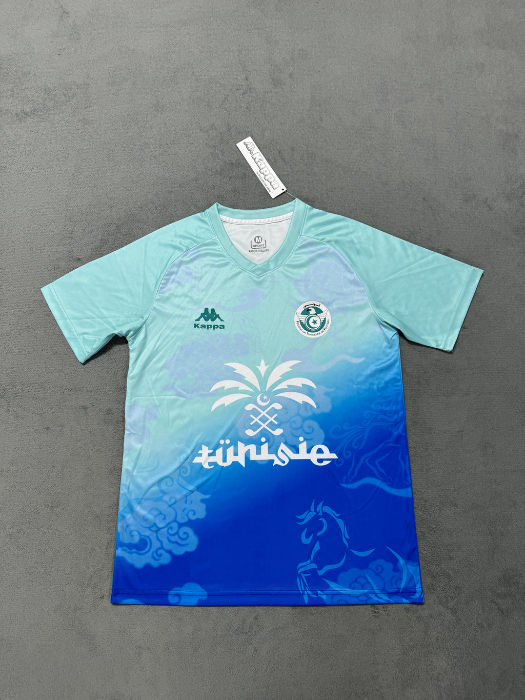 2025-26 Tunisia Training Blue