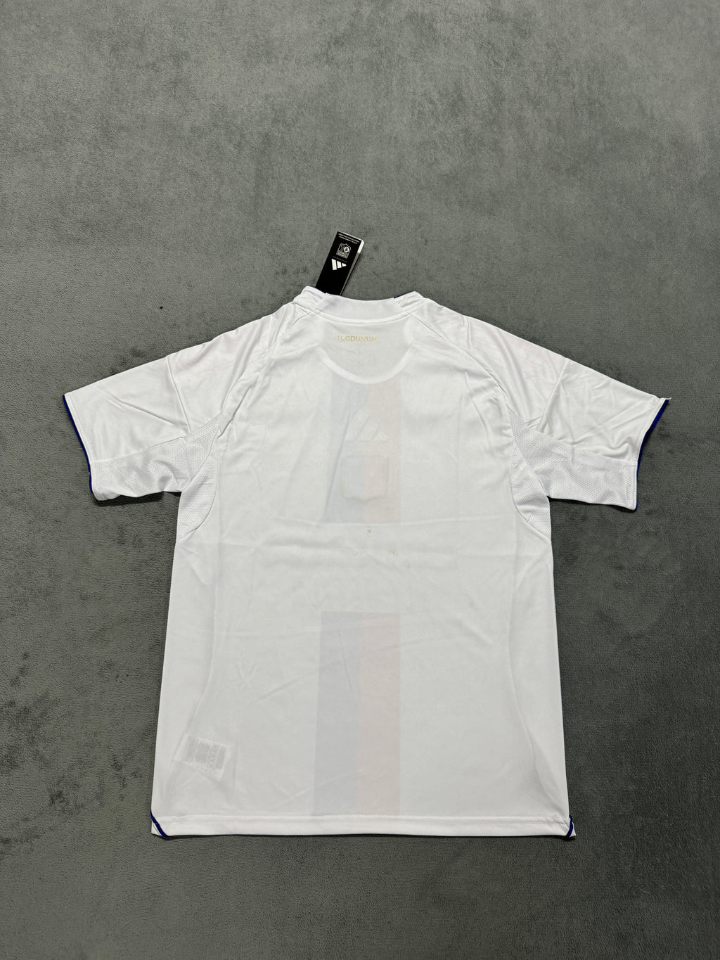2025-26 Lyon Home - image 2