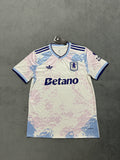 2025-26 Aston Villa Third