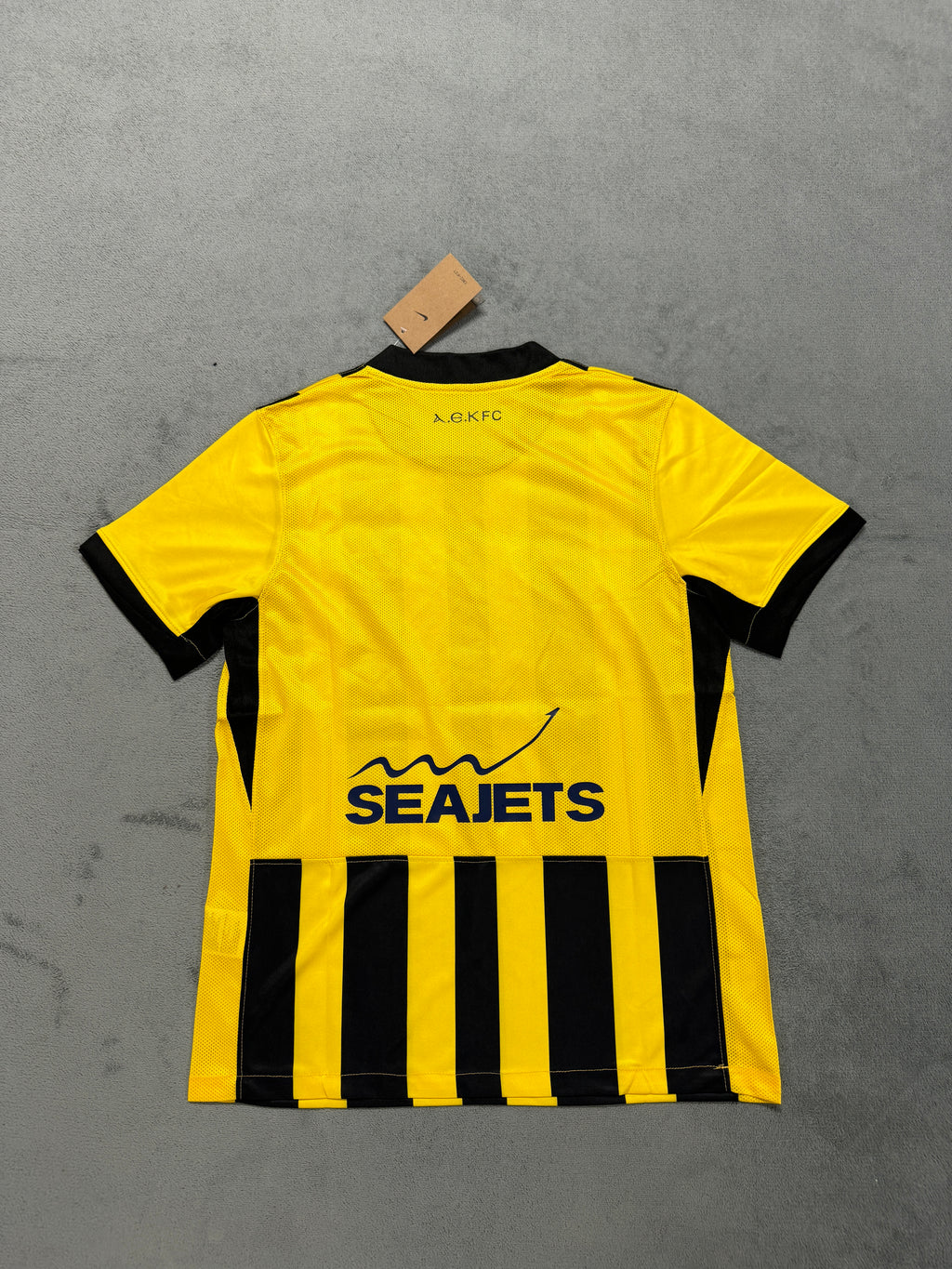 2025-26 AEK Athens Home - image 2