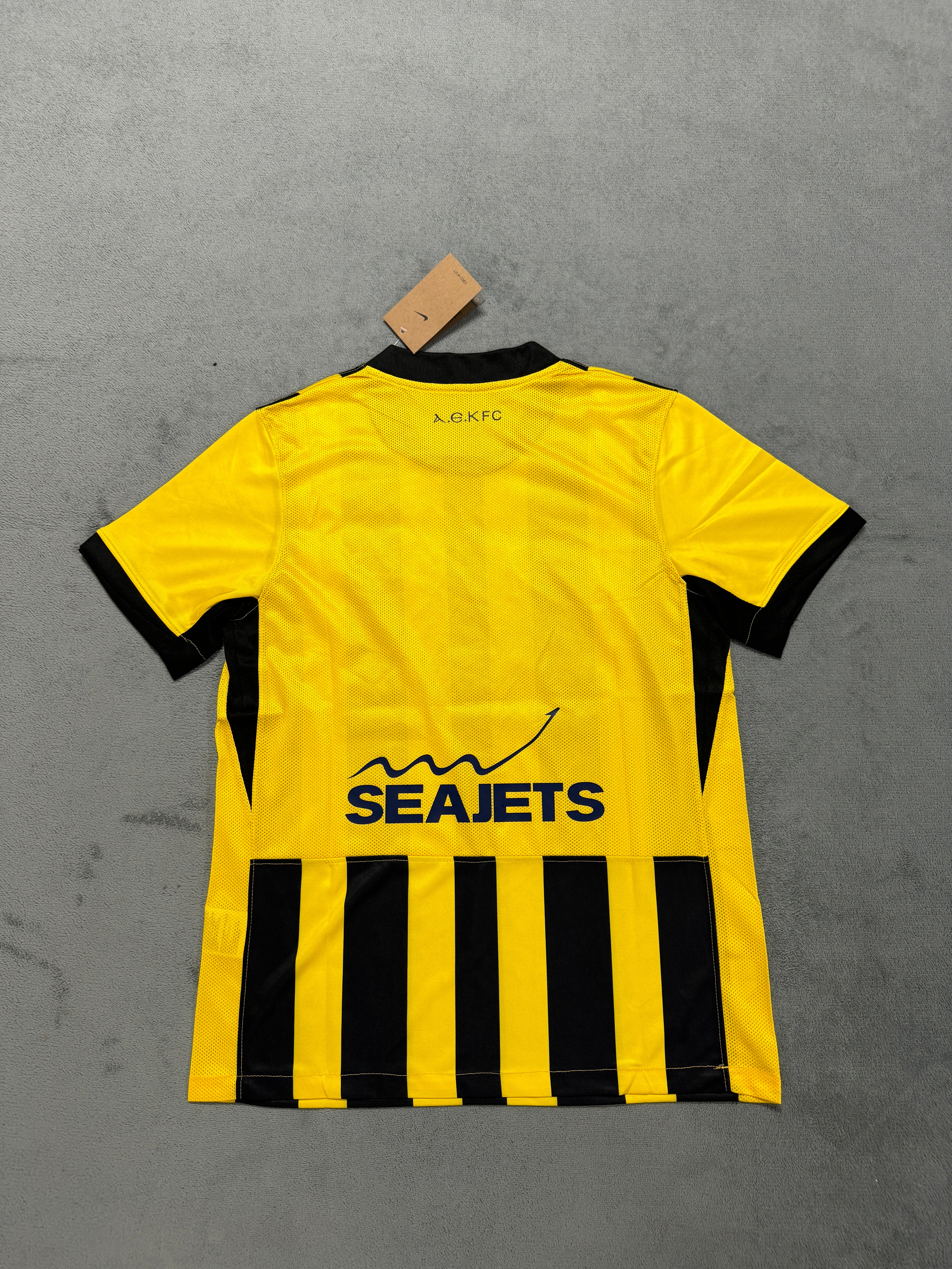 2025-26 AEK Athens Home - image 2