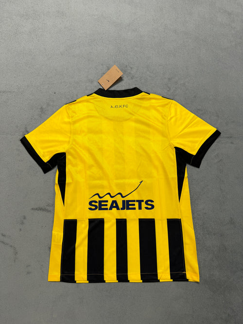 2025-26 AEK Athens Home - image 2