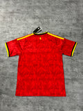 2026 Belgium Home