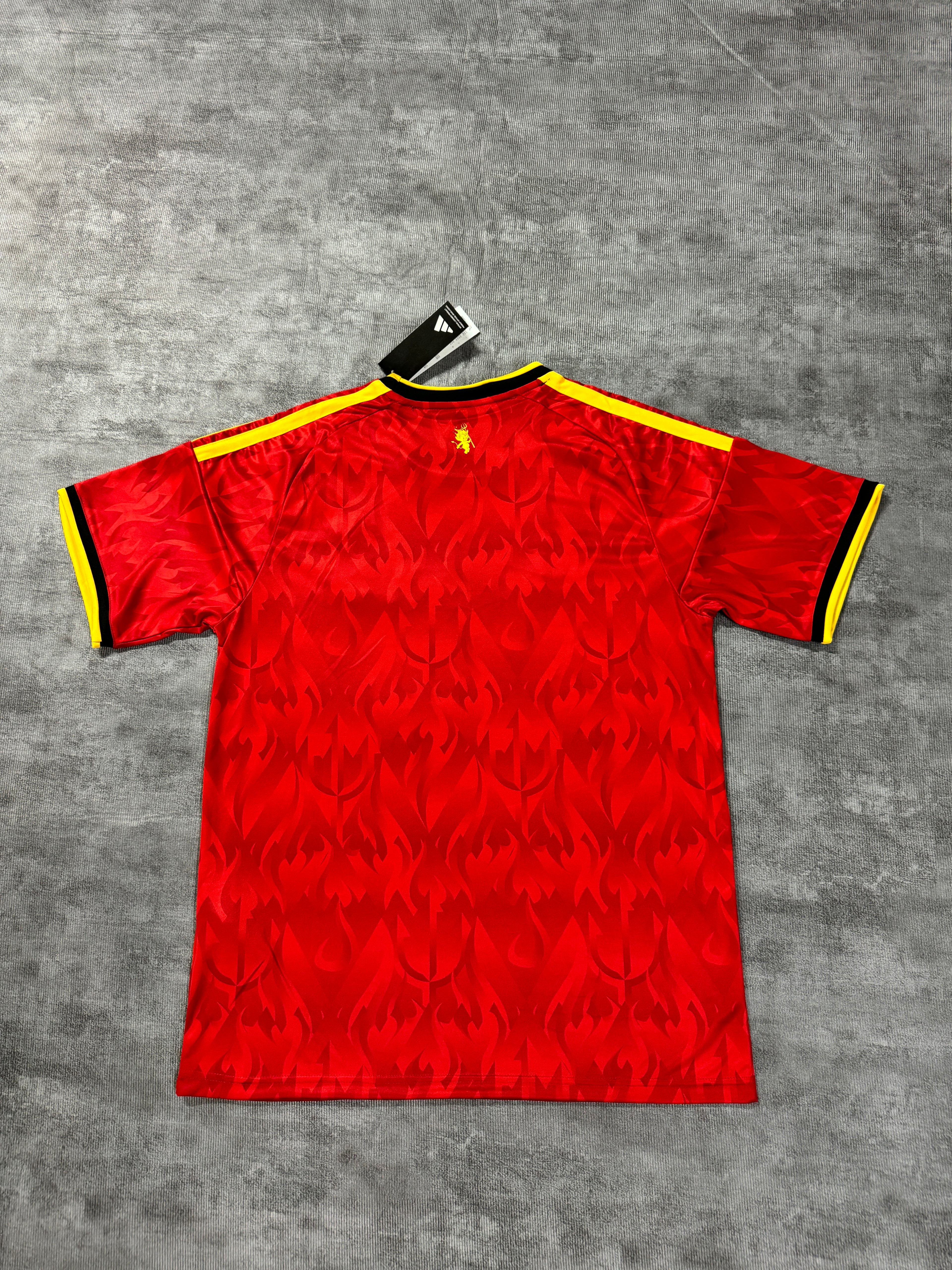 2026 Belgium Home