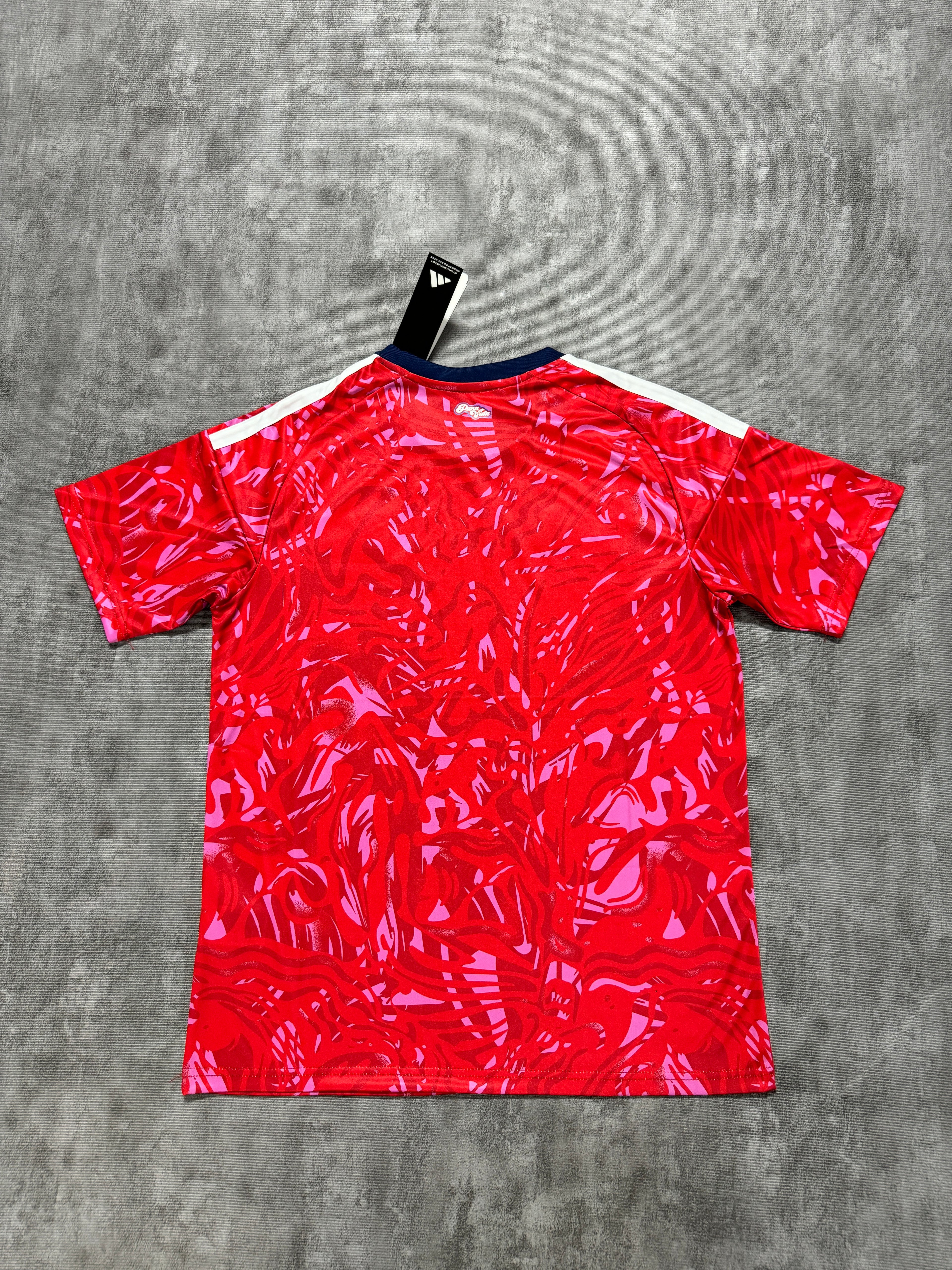 2026 Costa Rica Home - image 2