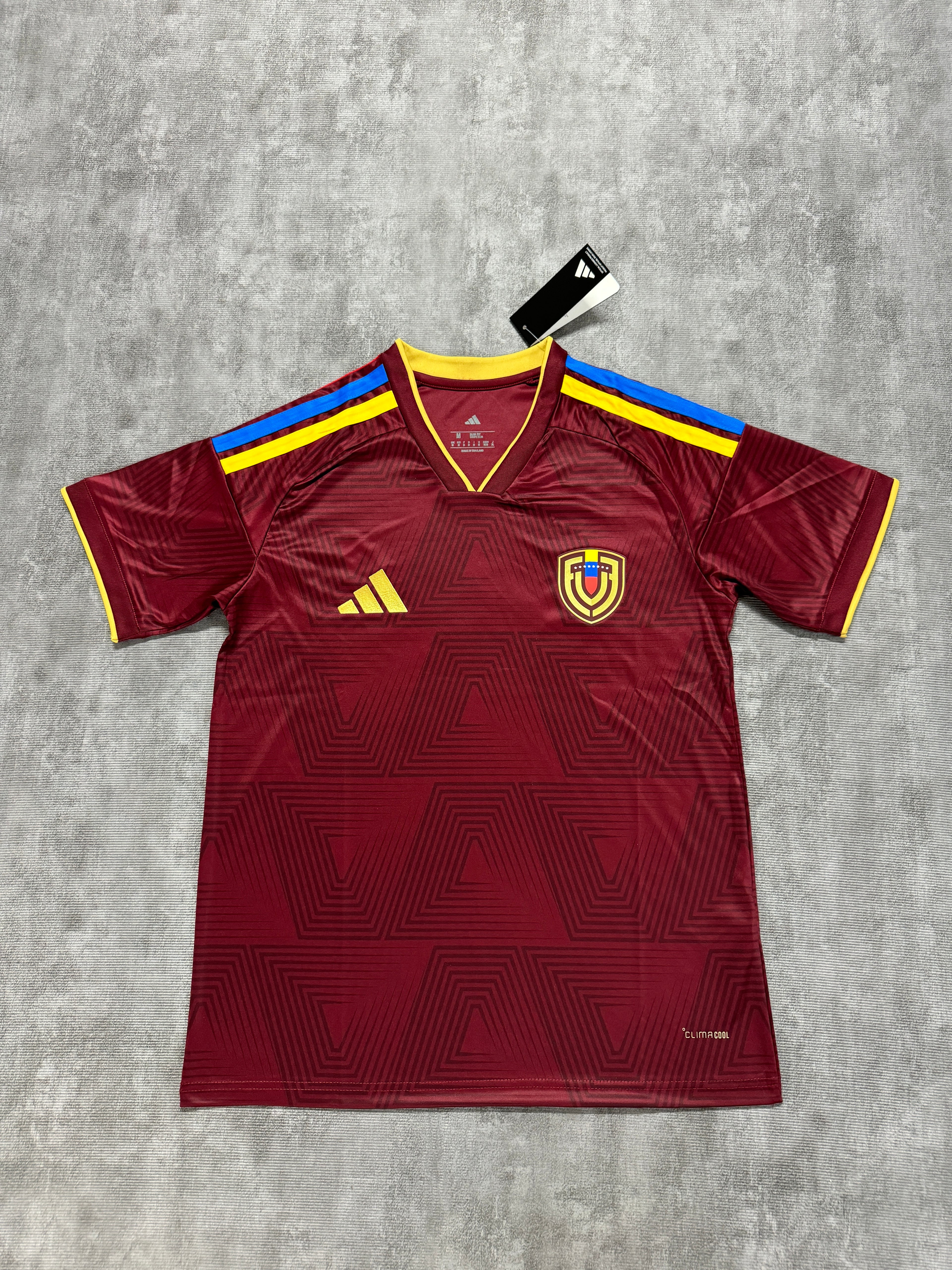 2026 Venezuela Home