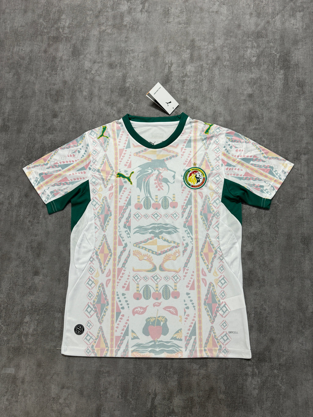 2026 Senegal Home
