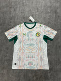 2026 Senegal Home