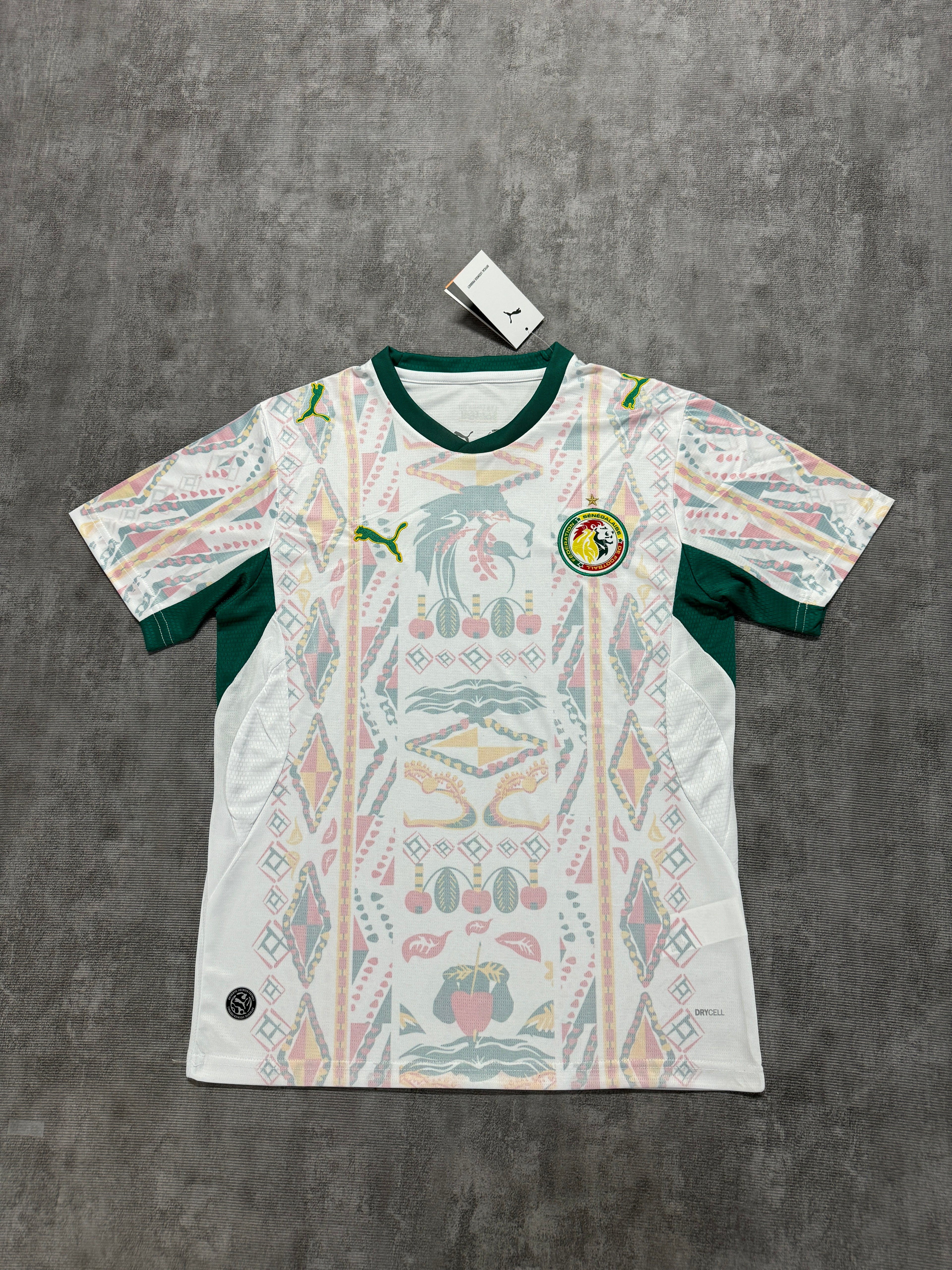 2026 Senegal Home