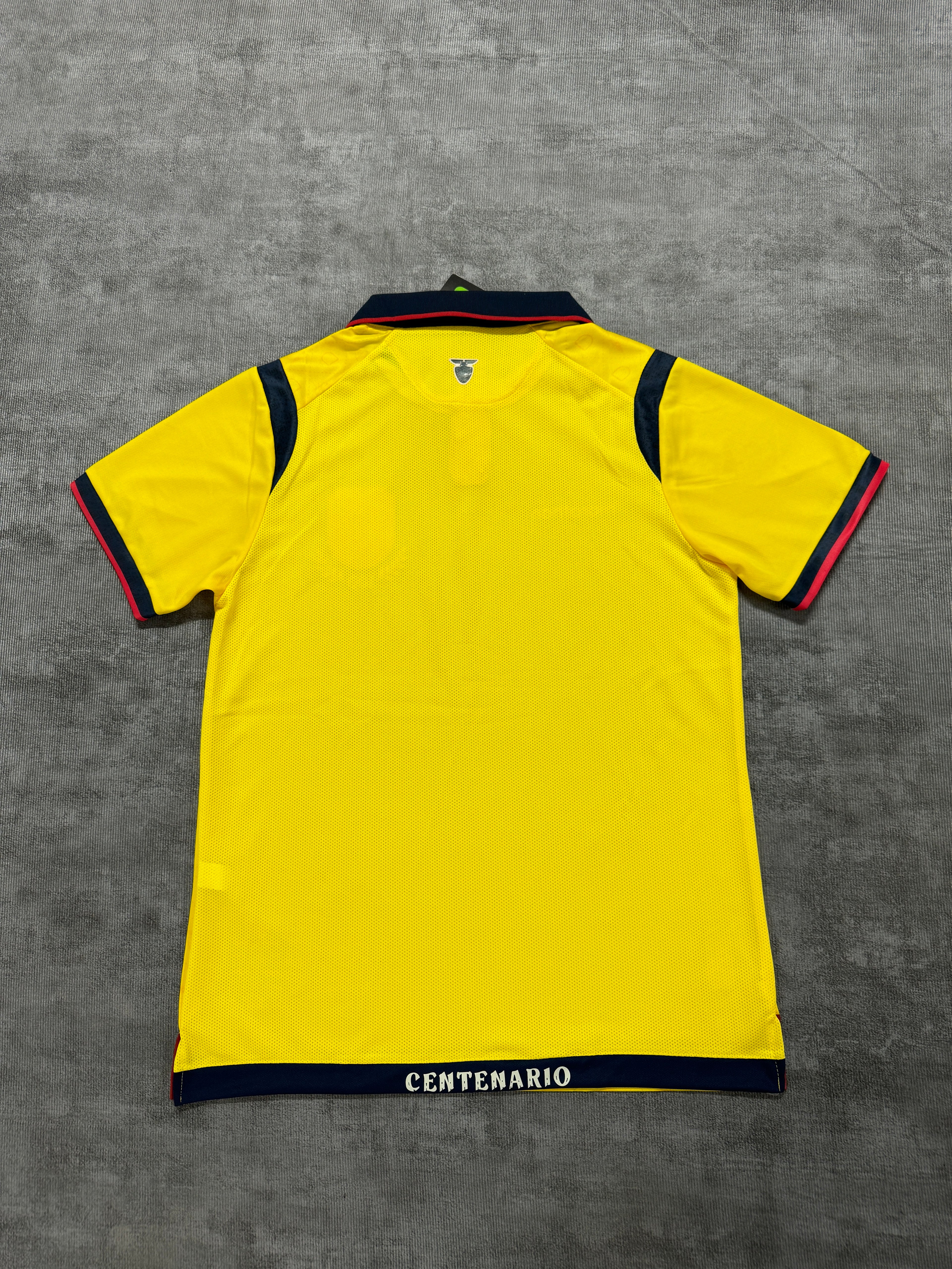 2026 Ecuador Home - image 2