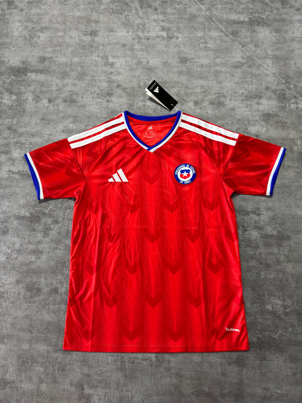 2026 Chile Home