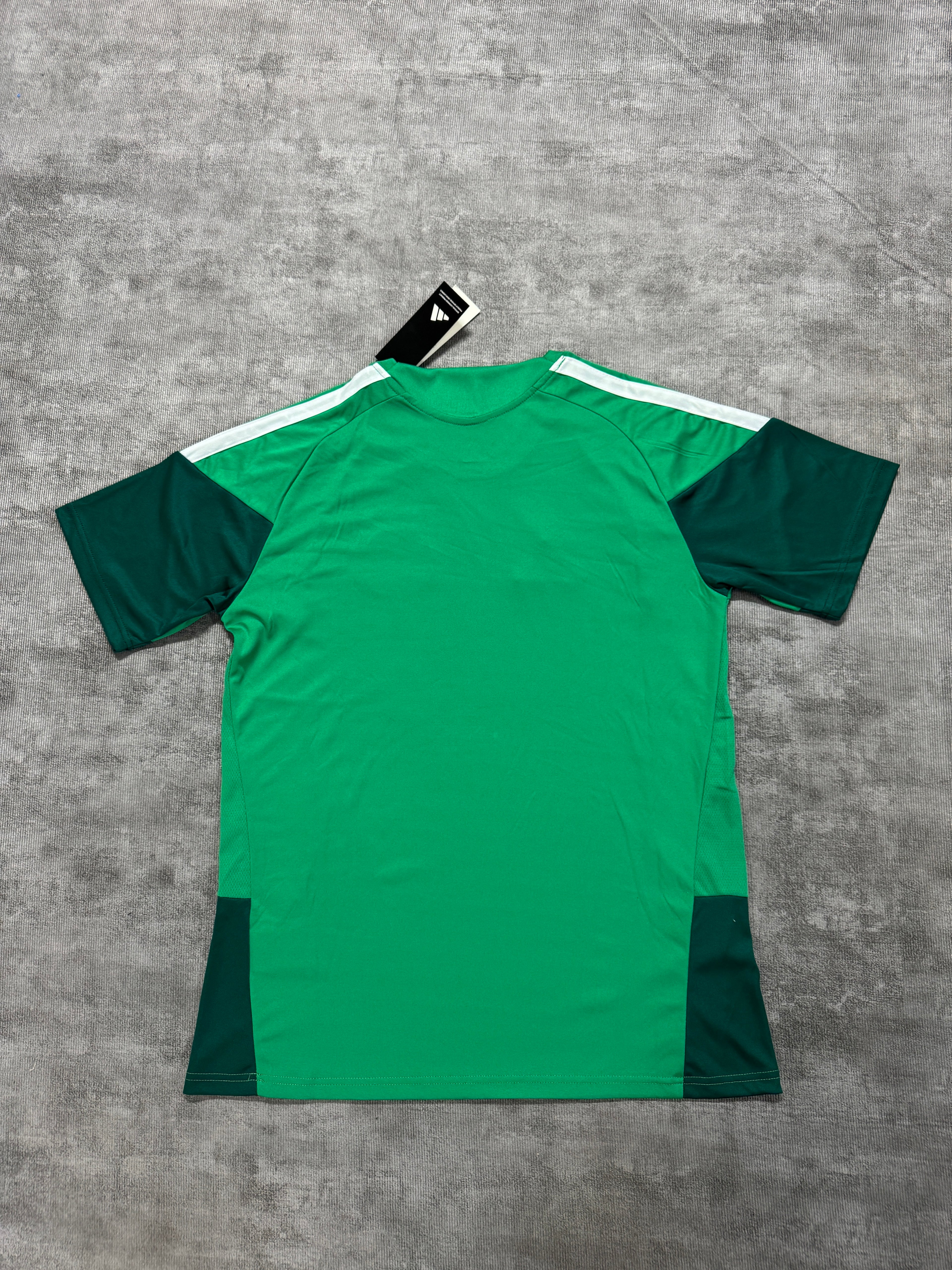 2026 Algeria Training Green - image 2