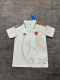 2026 Wales Away