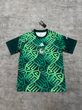 2026 Mexico Pre-Match Green