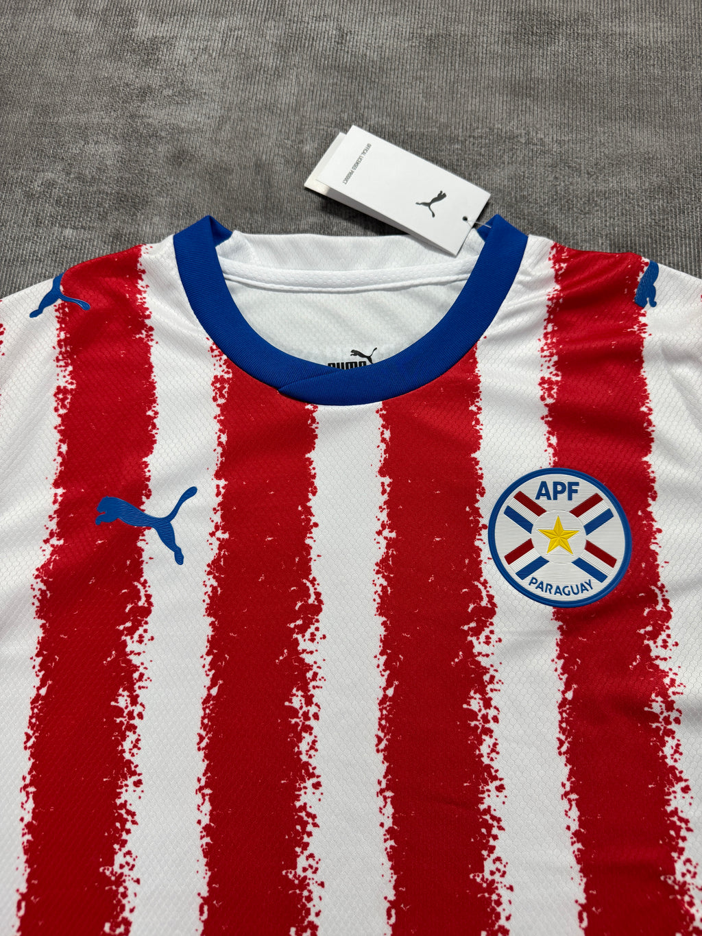 2026 Paraguay Home - image 3