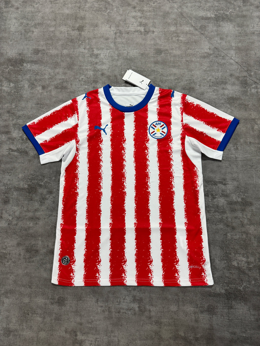 2026 Paraguay Home