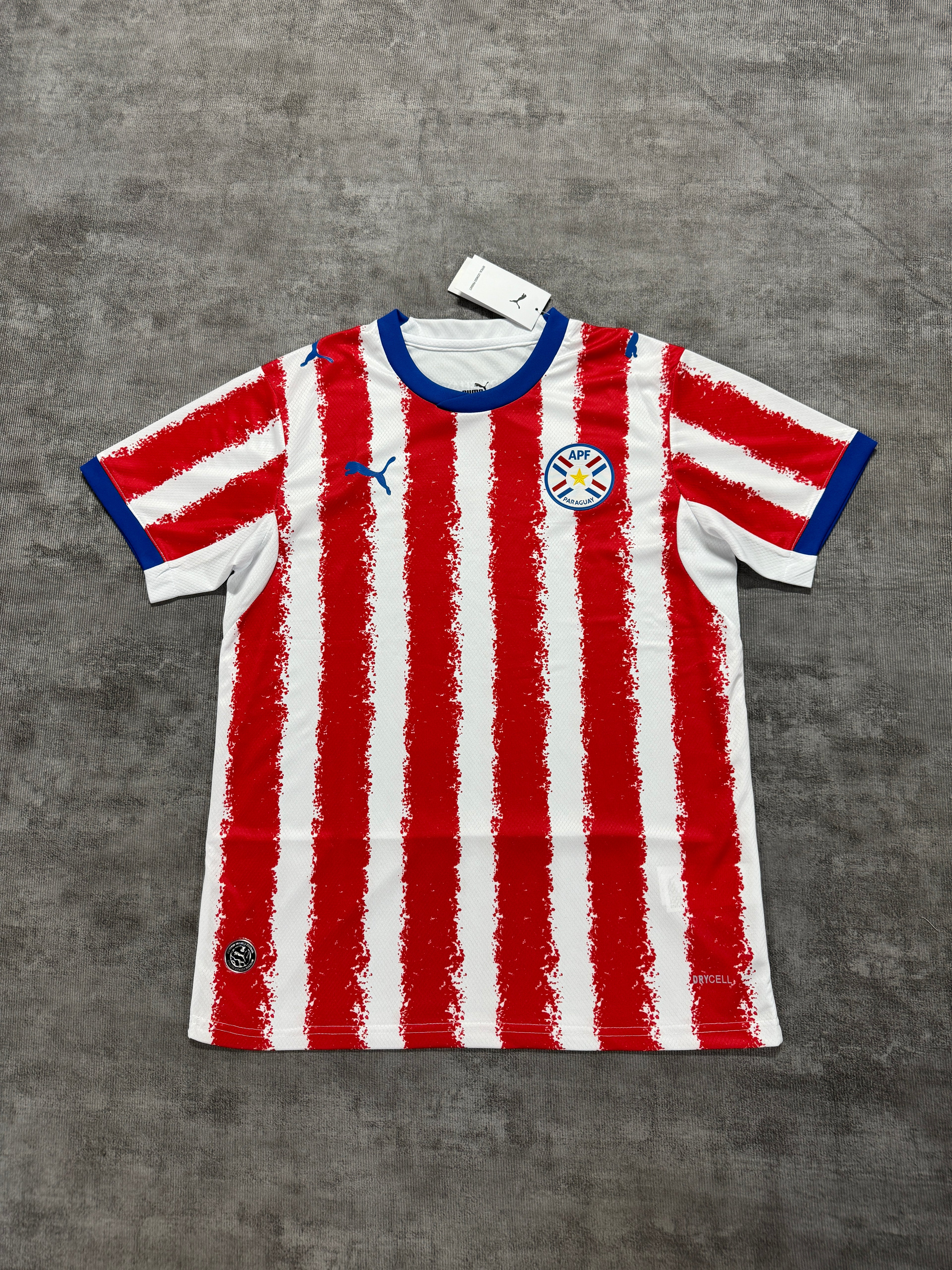 2026 Paraguay Home