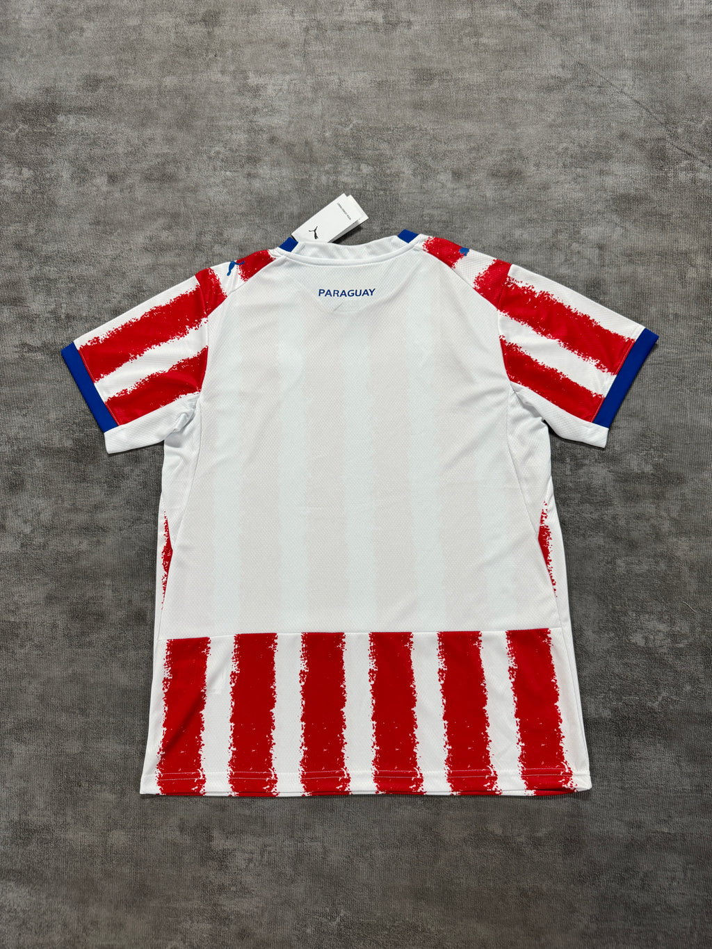 2026 Paraguay Home - image 2