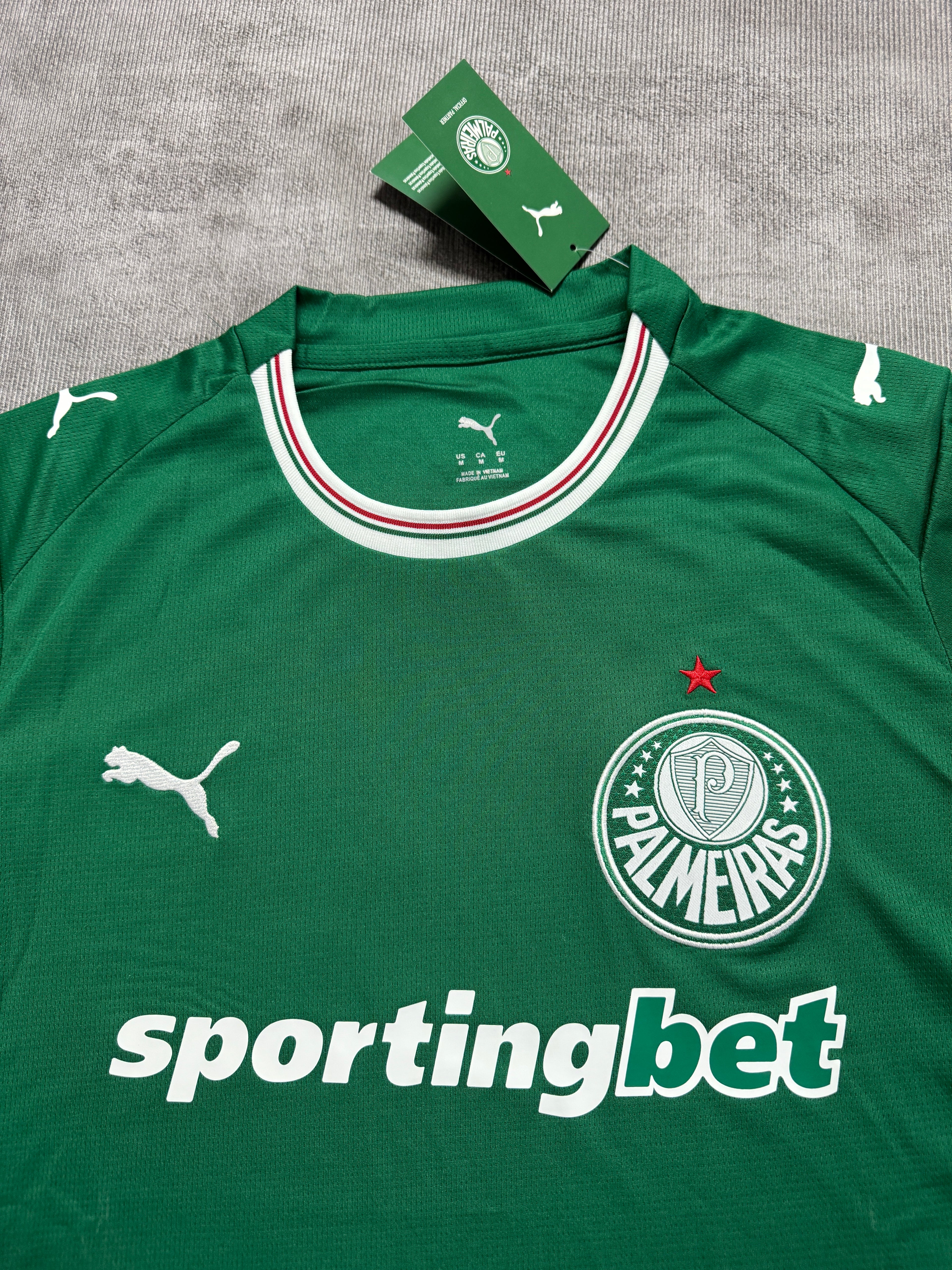 2026-27 Palmeiras Home - image 3