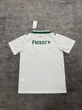 2026-27 Palmeiras Away